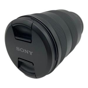 SONY (ソニー) ズームレンズ SEL24105G