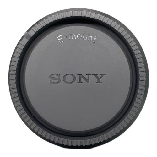 SONY (ソニー) ズームレンズ SEL24105G