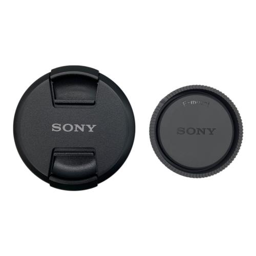 SONY (ソニー) ズームレンズ SEL24105G