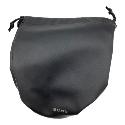 SONY (ソニー) ズームレンズ SEL24105G