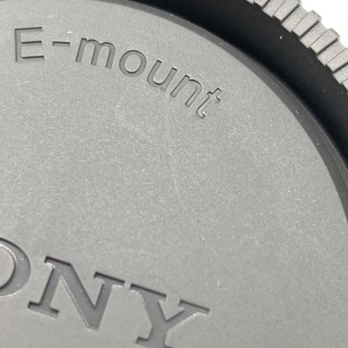 SONY (ソニー) ズームレンズ SEL24105G