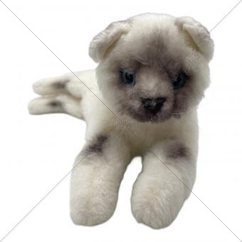 KOSEN (ケーセン) ねそべり猫 ヒマラヤン ヌイグルミ