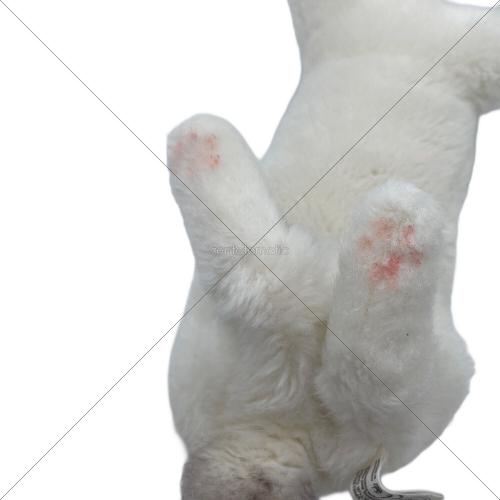 KOSEN (ケーセン) ねそべり猫 ヒマラヤン ヌイグルミ