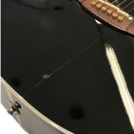 Takamine (タカミネ) エレアコギター 2009年製 DMP751C 47120003