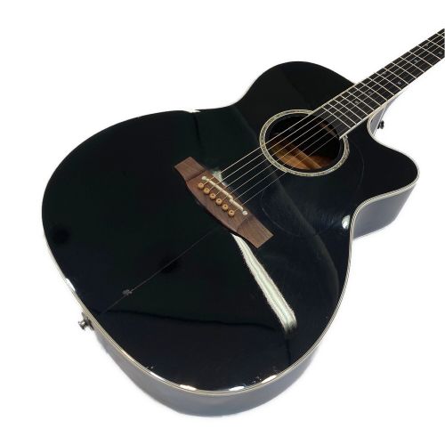 Takamine (タカミネ) エレアコギター 2009年製 DMP751C 47120003