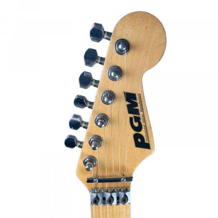 PGM (ピージーエム) 楽器店オーダー Custom ST Model 2001年製 日本製