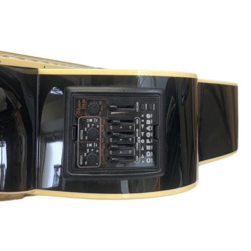 Takamine (タカミネ)＃278 DMP861CBL