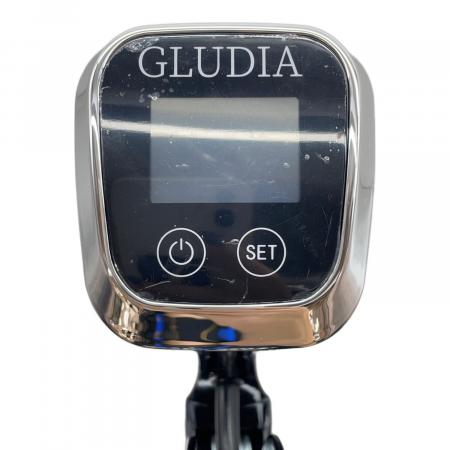 低音調理器具　GLUDIA GLU-INM01 GLUDIA (スタイラックス) 低温調理器 GLU-INM01｜トレファクONLINE