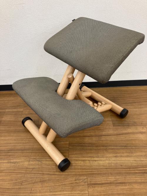 VARIER (ヴァリエール) バランスチェアー MULTI