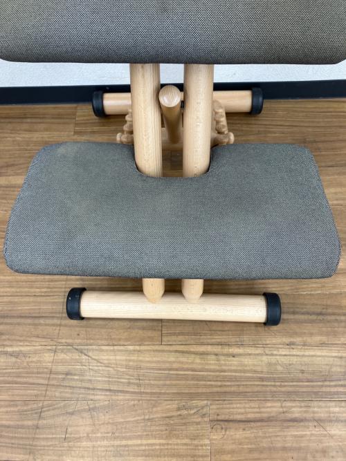 VARIER (ヴァリエール) バランスチェアー MULTI