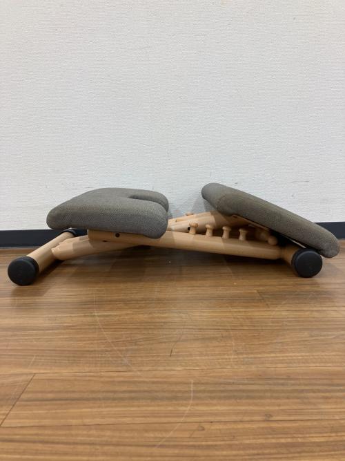 VARIER (ヴァリエール) バランスチェアー MULTI