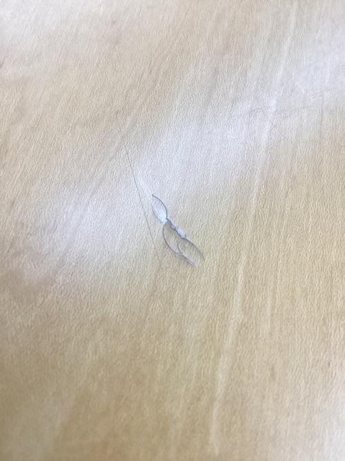 天童木工 (テンドウモッコウ) ダイニングテーブル T-2525MP-NT 原好輝デザイン事務所(原好輝)