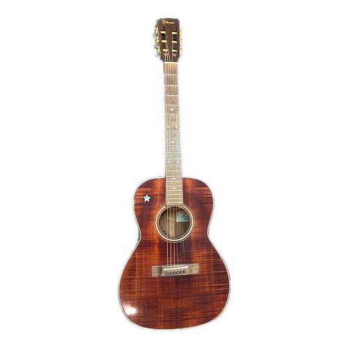 Takamine (タカミネ) エレアコギター PT-406 #82