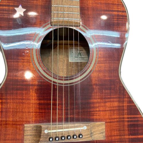 Takamine (タカミネ) エレアコギター PT-406 #82