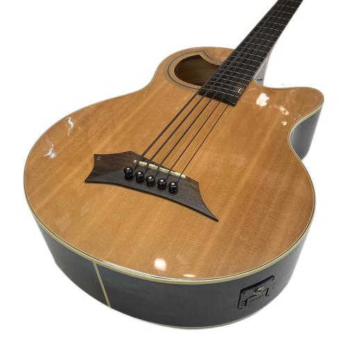 Warwick (ワーウィック) アコースティックベース WAC1575
