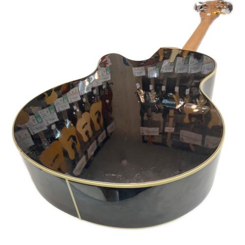 Warwick (ワーウィック) アコースティックベース WAC1575