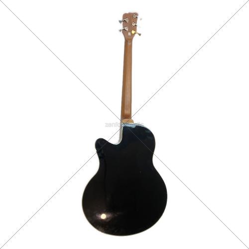 Warwick (ワーウィック) アコースティックベース WAC1575 #186