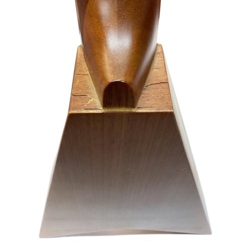 ALA MOANA (アラモアナ) フライングVウクレレ UK-850V 中国製