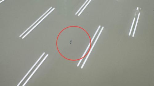 Molteni&C (モルテーニ・アンド・シー) ダイニング5点セット 5点セット DIAMOND(テーブル)OUTLINE(チェア)