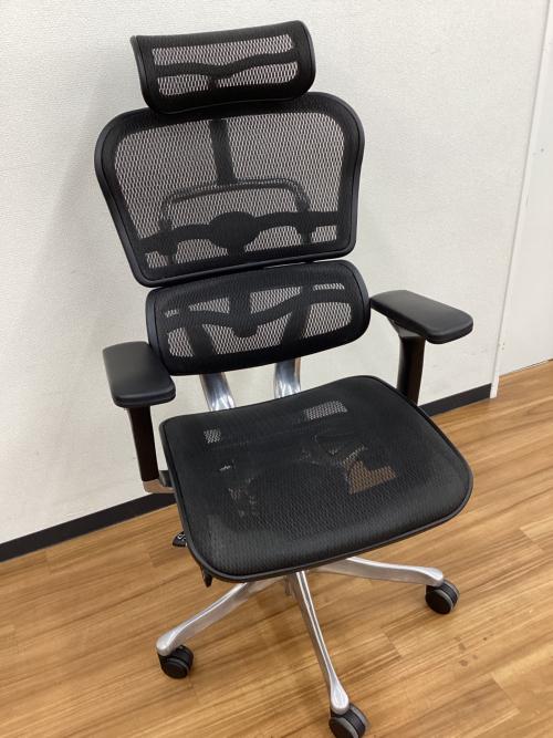 Ergohuman (エルゴヒューマン) ワークチェアー エルゴヒューマンベーシック　ブラック