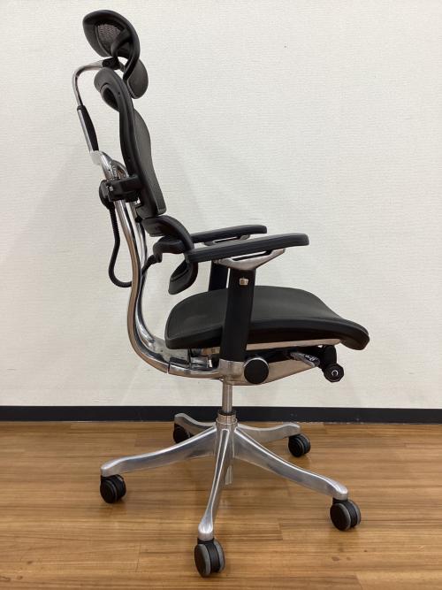 Ergohuman (エルゴヒューマン) ワークチェアー エルゴヒューマンベーシック　ブラック