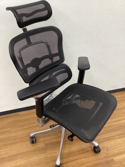 Ergohuman (エルゴヒューマン) ワークチェアー エルゴヒューマンベーシック　ブラック