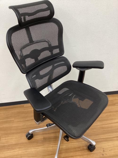 Ergohuman (エルゴヒューマン) ワークチェアー エルゴヒューマンベーシック　ブラック