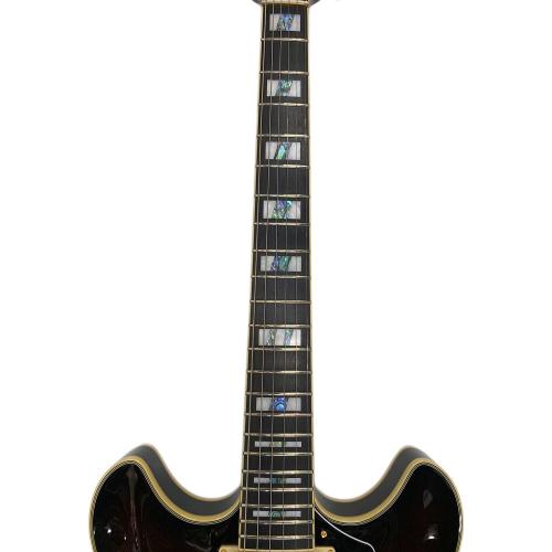 IBANEZ (アイバニーズ) JSM100 John Scofield Signature Model