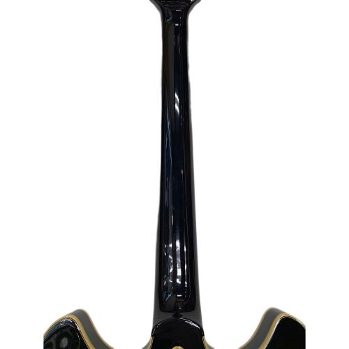 IBANEZ (アイバニーズ) JSM100 John Scofield Signature Model