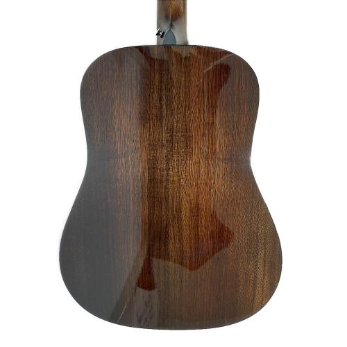 ギター martin & co. DRSG MARTIN DRSG 正規輸入品 エレクトリックアコースティックギター