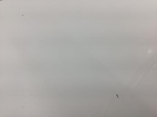 CASSINA IXC. (カッシーナ イクスシー) テレビボード LOTUS theater board