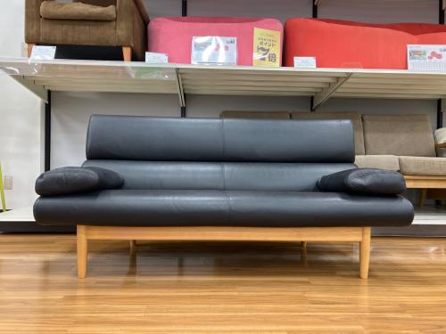 CONDE HOUSE (カンディハウス) 2人掛けソファー エクリプス クッション2個付