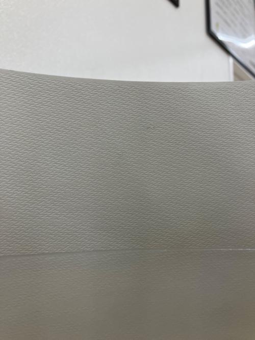 FOSCARINI (フォスカリーニ) インテリア照明 Twiggy Lettura