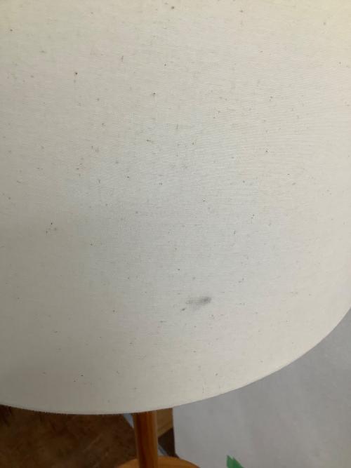 ELUX フロアライト CAFEPOD