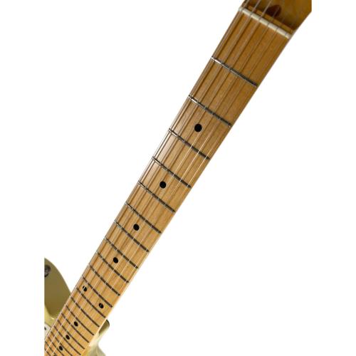 Provision (プロビジョン) エレキギター TL TYPE