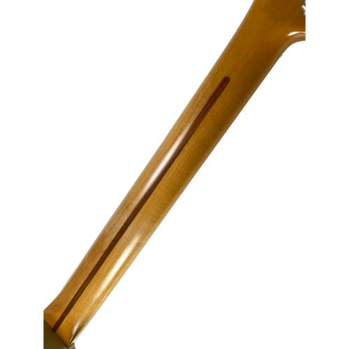 Provision (プロビジョン) エレキギター TL TYPE