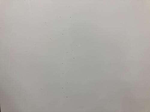 MITSUBISHI (ミツビシ) 6ドア冷蔵庫 MR-R46H-W 2022年製 462L