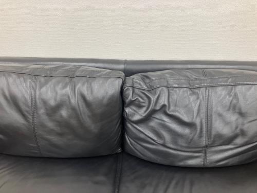 IDC大塚家具 (アイディーシーオオツカカグ) 2人掛けソファー ワタリジャパン