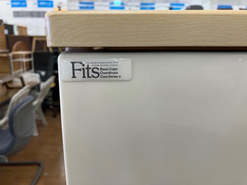 FITS (フィッツ) プラチェスト ホワイト