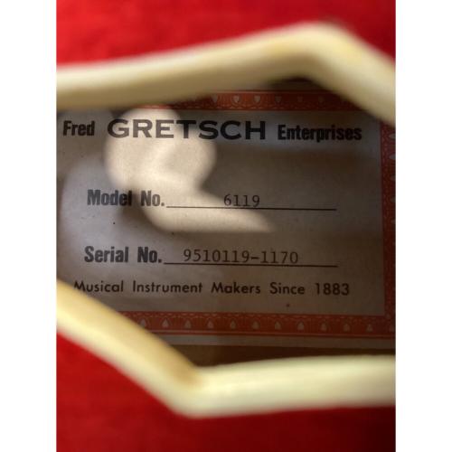 GRETSCH (グレッチ) エレキギター 6119 Tennessee Rose 1995年製