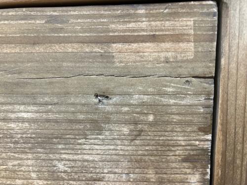 Knot antiques (ノットアンティークス) キャビネット ステッド キャビネット ブラウン STEAD CABINET W206