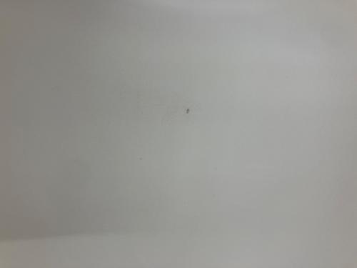 Vitra (ヴィトラ) イス Panton Chair