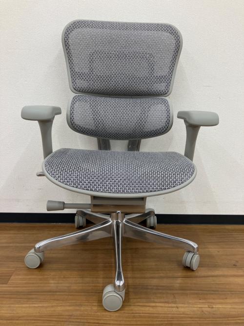 Ergohuman (エルゴヒューマン) ワークチェアー ヘッドレスト・オットマン欠品 グレー