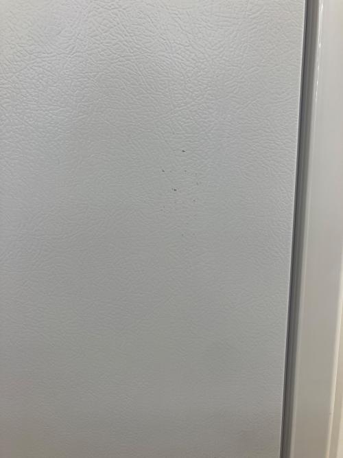 Panasonic (パナソニック) 6ドア冷蔵庫 451L 2020年製 NR-FV45S6-W