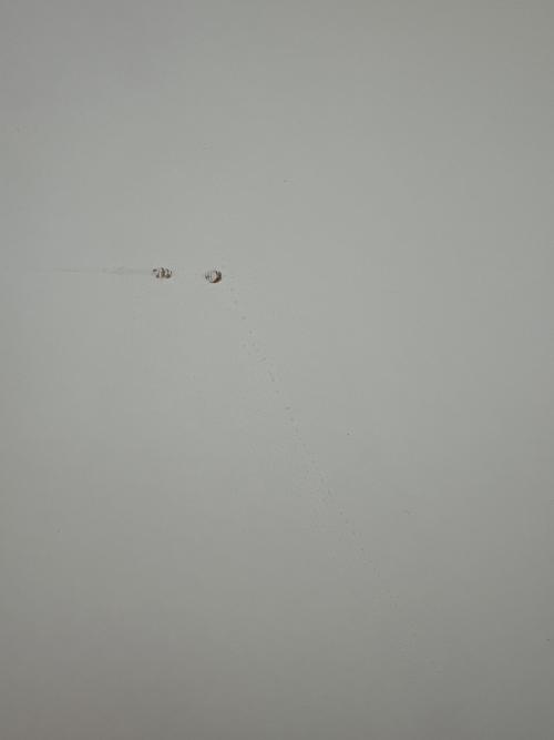 ニトリ 2枚扉 食器棚 80DB WH ホワイト