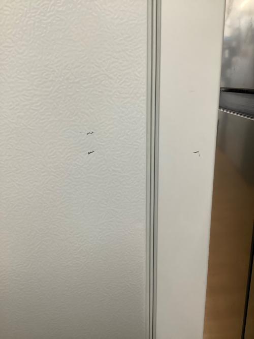 Hisense (ハイセンス) 2ドア冷蔵庫 HR-D15F 2024年製 162L