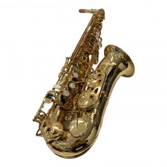 ANTIGUA (アンティグア) アルトサックス 3100