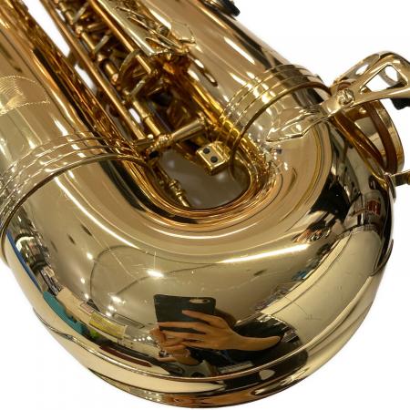 ANTIGUA (アンティグア) アルトサックス 3100｜トレファクONLINE