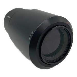 SONY (ソニー) ズームレンズ SAL70300G 70～300 mm F4.5-5.6 ソニーマウント 1816350