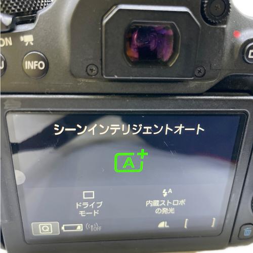CANON (キヤノン) デジタル一眼レフカメラ EOS 9000D レンズセット レンズ:18-55mm